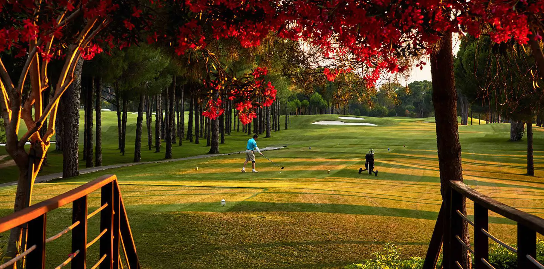Gloria New Course